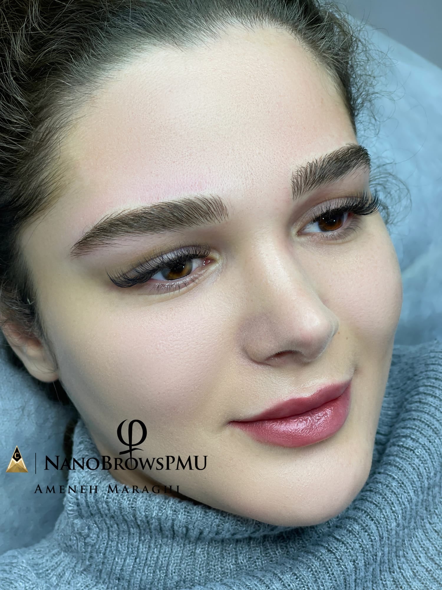 NanoBrows result by Hanie Maraghi